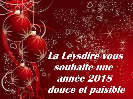 des Cavaliers De Leysdire - MEILLEURS VOEUX