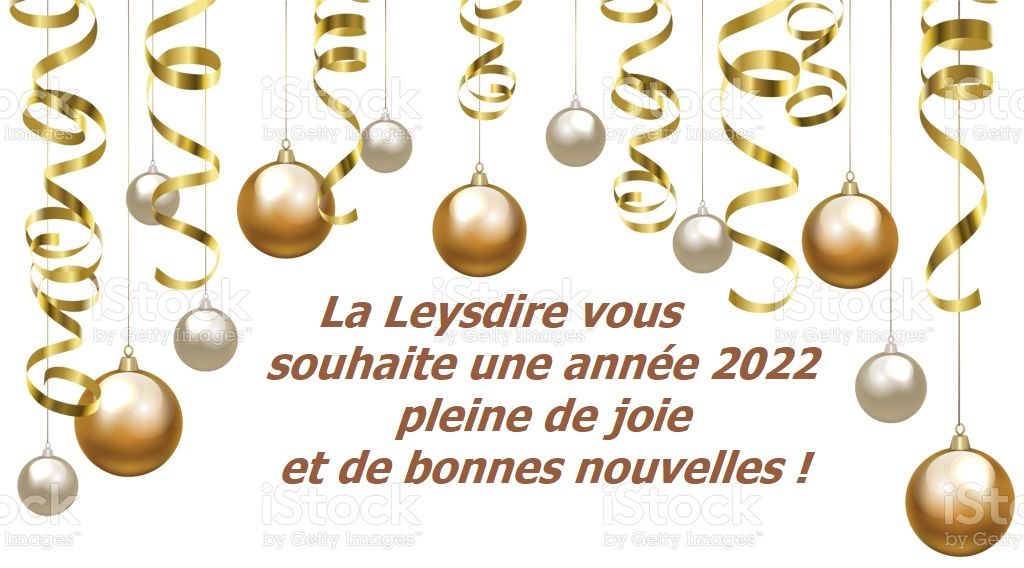 des Cavaliers De Leysdire - MEILLEURS VOEUX